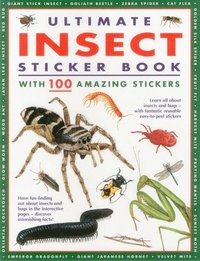 bokomslag Ultimate Insect Sticker Book