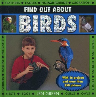 bokomslag Find Out About Birds