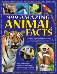 bokomslag 999 Amazing Animal Facts