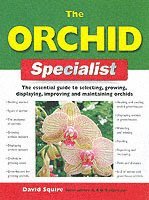 bokomslag The Orchid Specialist