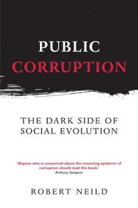 bokomslag Public Corruption