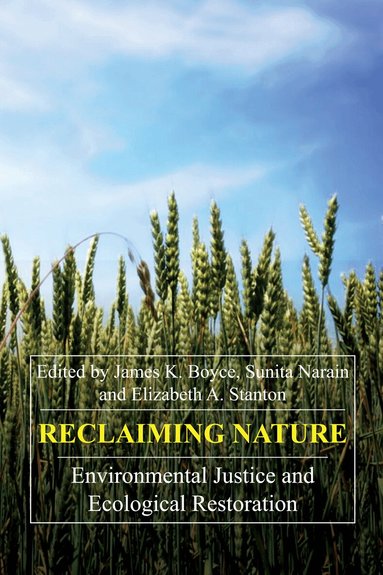 James K. Boyce, Sunita Narain, Elizabeth A. Stanton - Reclaiming Nature, Häftad
