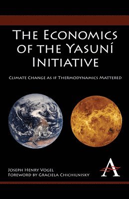 bokomslag The Economics of the Yasun Initiative