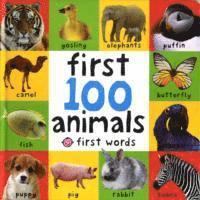 bokomslag First 100 Animals