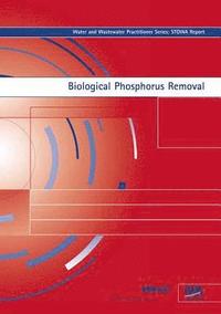 bokomslag Biological Phosphorus Removal