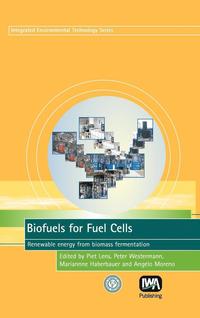 bokomslag Biofuels for Fuel Cells