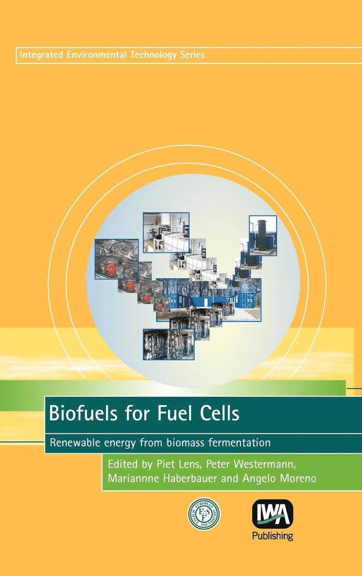 Biofuels for Fuel Cells 1