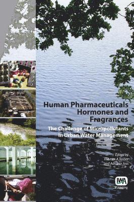 bokomslag Human Pharmaceuticals, Hormones and Fragrances