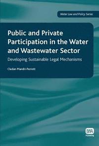 bokomslag Public and Private Participation in the Water and Wastewater Sector