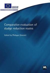 bokomslag Comparative Evaluation of Sludge Reduction Routes