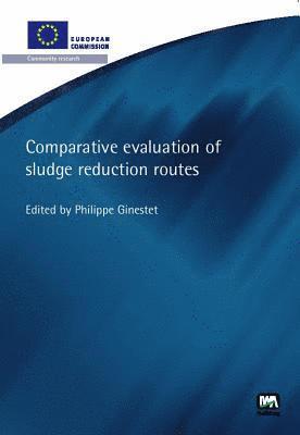 Comparative Evaluation of Sludge Reduction Routes 1