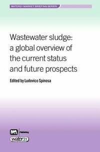 bokomslag Wastewater Sludge