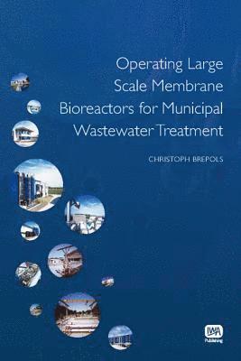 Operating Large Scale Membrane Bioreactors for Municipal Wastewater Treatment 1