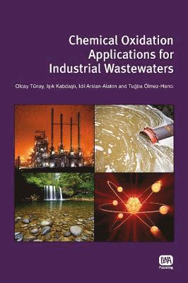 Olcay Tunay, Isik Kabdasli, Idil Arslan-Alaton, Tugba Olmez-Hanci - Chemical Oxidation Applications for Industrial Wastewaters, Häftad