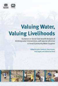 bokomslag Valuing Water, Valuing Livelihoods