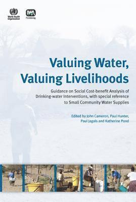 bokomslag Valuing Water, Valuing Livelihoods