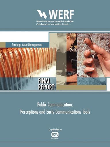 bokomslag Public Communication