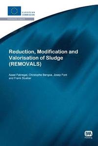 bokomslag Reduction, Modification and Valorisation of Sludge