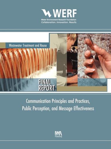 Rula A. Deeb - Communication Principles and Practices, Public Perception and Message Effectiveness, Häftad