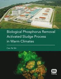 bokomslag Biological Phosphorus Removal Activated Sludge Process in Warm Climates