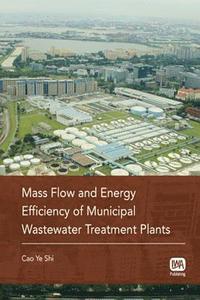 bokomslag Mass Flow and Energy Efficiency of Municipal Wastewater Treatment Plants