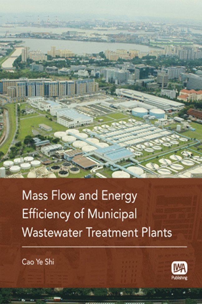 Cao Ye Shi - Mass Flow and Energy Efficiency of Municipal Wastewater Treatment Plants, Häftad