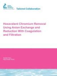 bokomslag Hexavalent Chromium Removal Using Anion Exchange and Reduction With Coagulation and Filtration