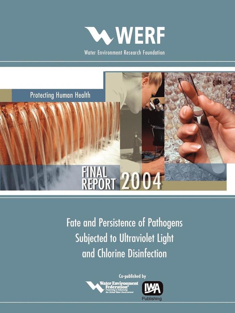 Fate and Persistence of Pathogens Subjected to Disinfection