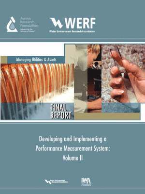 Terrance M. Brueck - Developing and Implementing a Performance Measurement System for a Water/Wastewater Utility, Häftad