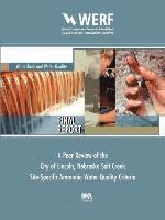 Michael Bastian, Lyle Christensen, Bret Linenfelser, Cynthia Paulson, William Rue, Robert Weaver - Peer Review of the City of Lincoln Nebraska Salt Creek Site-Specific Ammonia Water Quality Criteria, Häftad