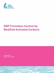 bokomslag DBP Formation Control by Modified Activated Carbons