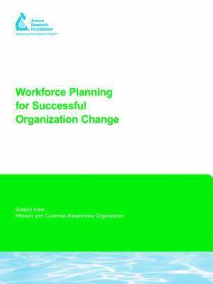 bokomslag Workforce Planning for Successful Organization Change