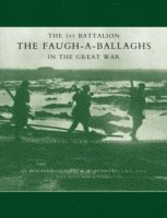 bokomslag 1st Battalion the Faugh-a-Ballaghs in the Great War (The Royal Irish Fusiliers.)