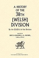 bokomslag History of the 38th (Welsh) Division