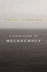 bokomslag Field Guide to Melancholy
