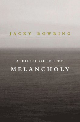 bokomslag Field Guide to Melancholy