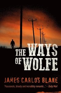 bokomslag Ways of Wolfe