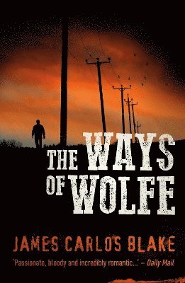 bokomslag Ways of Wolfe