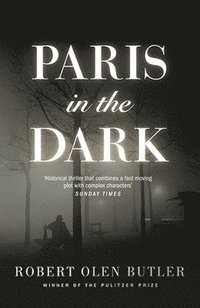 bokomslag Paris In the Dark