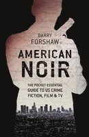 bokomslag American Noir