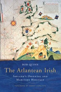 bokomslag The Atlantean Irish