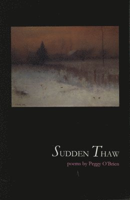 bokomslag Sudden Thaw