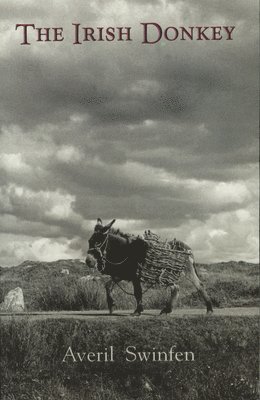 bokomslag The Irish Donkey