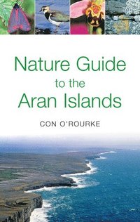 bokomslag Nature Guide to the Aran Islands