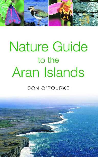 bokomslag Nature Guide to the Aran Islands