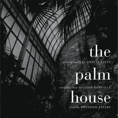 The Palm House 1