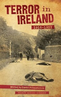 bokomslag Terror In Ireland