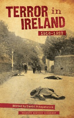 bokomslag Terror In Ireland