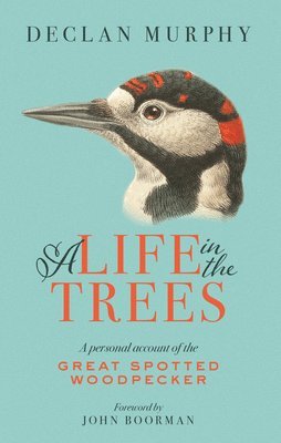 Declan Murphy - Life In The Trees, Häftad