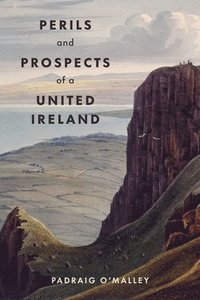 bokomslag Perils & Prospects of a United Ireland